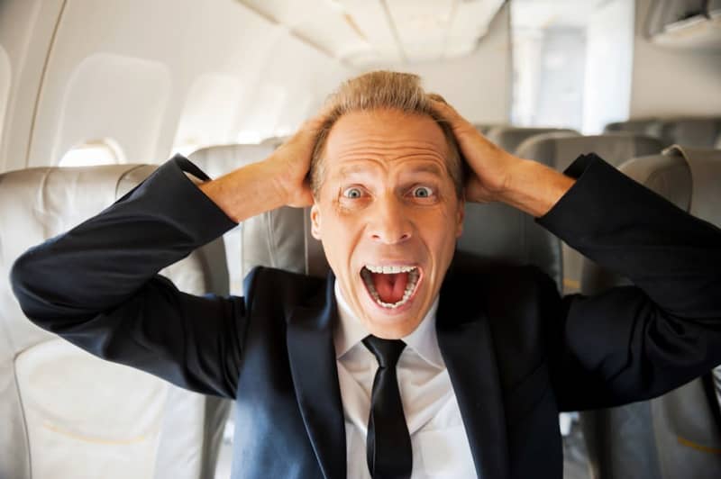 What is that sound?Unexpected behavior of a rare passenger that ruined premium economy