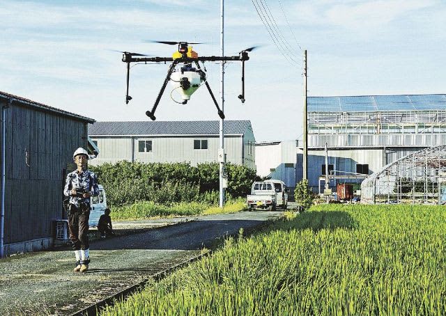 Sow astragalus seeds with a drone to increase nectar sources for bees in Minabe Town, Wakayama, a plum-producing area