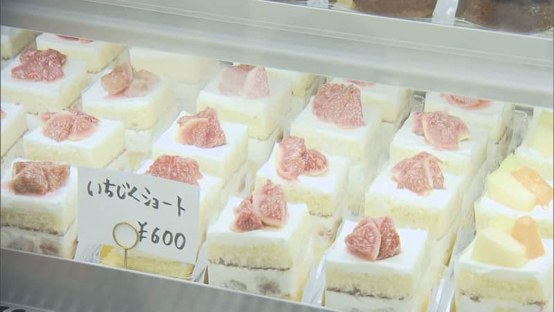「コラボ」に「生絞り」スイーツも登場　人気店が大集合する「とっとりスイーツフェスタ」とは