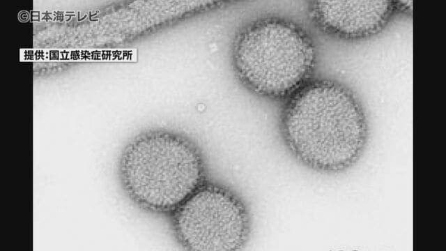 Out-of-season influenza outbreak is due to... "Lack of transition to Type XNUMX coronavirus..." Tottori Prefecture, Shimane Prefecture