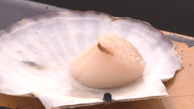 Hokkaido's ``scallops'' are getting a lot of attention right now!A flood of applications for hometown tax payments due to import ban from China