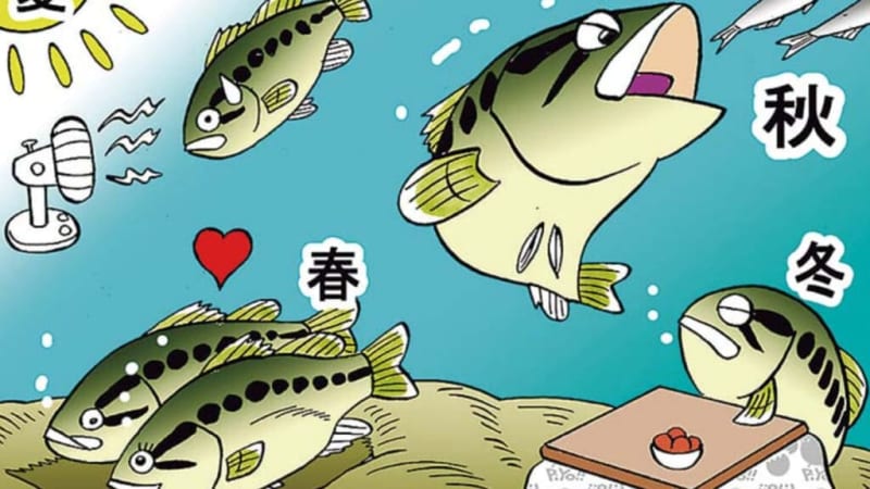 When does autumn bass fishing start? → “Autumn starts when the typhoon passes! It comes surprisingly early, so be careful!”