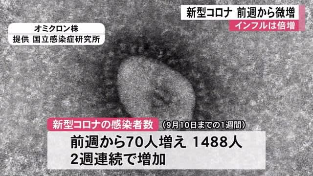 In Kumamoto Prefecture, the number of new coronavirus cases increases for the second consecutive week, and the number of influenza cases doubles.