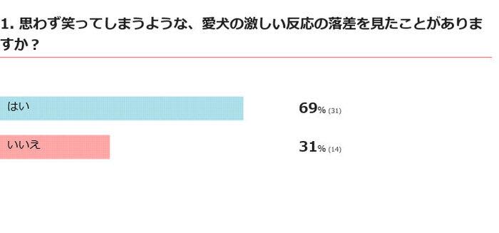 愛犬の「激しい反応の落差」を調査　「お留守番していてね」の声に急に真顔になるコも