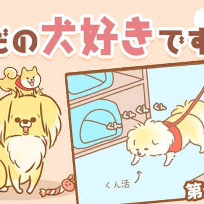 ただの犬好きです。【第226話】「ワンコOK③」