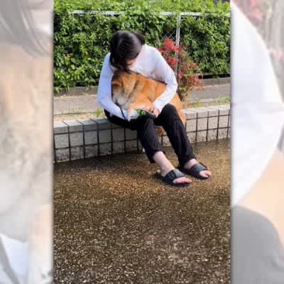 「お水は怖いワン！」飼い主の腕の中に隠れちゃうわんこにキュン♡
