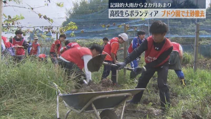 High school students volunteer to remove mud from a vineyard in Kurume City that was damaged by heavy rains in July