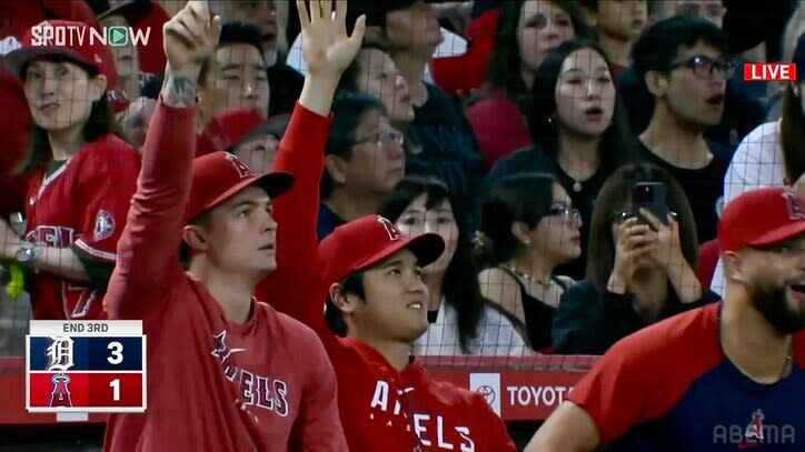 Shohei Otani smiles at his colleague's follow-up shot, hits the bench with joy, "Otani smiles lol", "Shohei-san is happy...