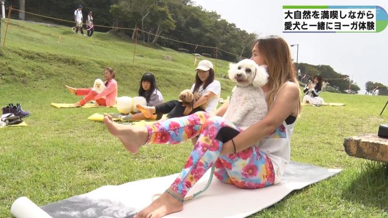 Yoga with your dog on a cool mountaintop, deep breathing with eye contact and body contact Mie/Gozaisho Ropeway
