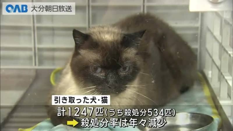 【大分】動物ふれあいフェスタ　長寿犬・猫を表彰