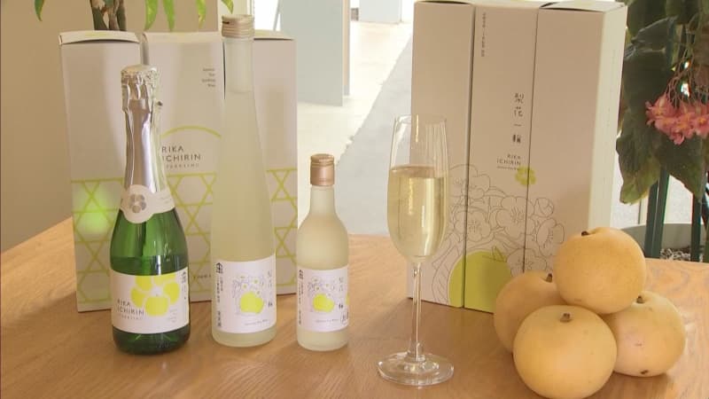 Wine preparation begins with Kami Town's specialty ``Nijisseiki Pear''