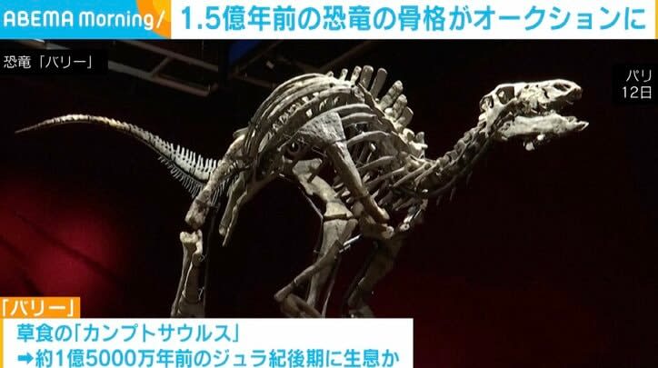 ⚡｜1.5 million-year-old dinosaur "Barry" skeleton to be put up for auction in Paris