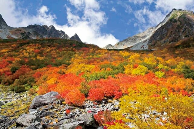 [Karasawa Carl] Just a little more until the peak of autumn leaves!Walk the golden route of the Northern Alps, “Kamikochi-Karasawa-Hotaka Mountain Range”!