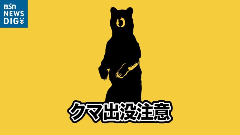 ``I felt a sign and turned around and there was a bear'' Spotted while walking a dog in a residential area in the early morning, Agano City, Niigata