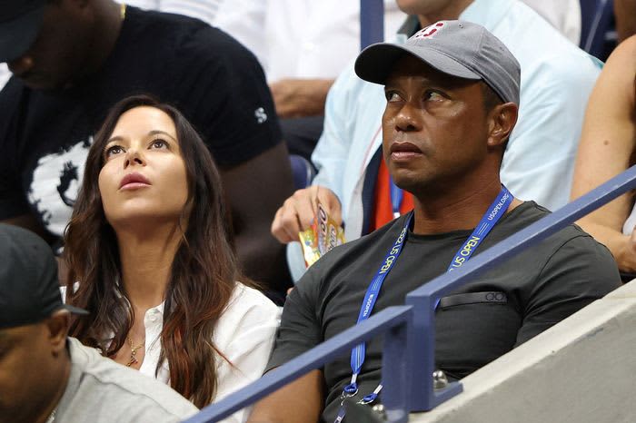 Are you sure you won't give up?Tiger Woods' ex-GF files suit again!