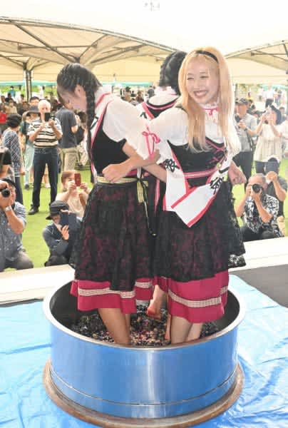 Get drunk on the sweet and sour autumn at the Ohasama Wine Festival in Hanamaki