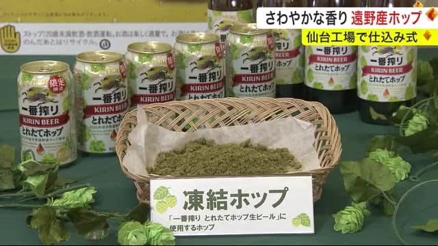 Refreshing aroma Beer brewing ceremony using Tono hops Kirin Beer Sendai Factory