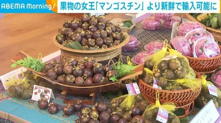 ⚡｜Mangosteen, the queen of fruits, can now be imported from Thailand in a fresher state