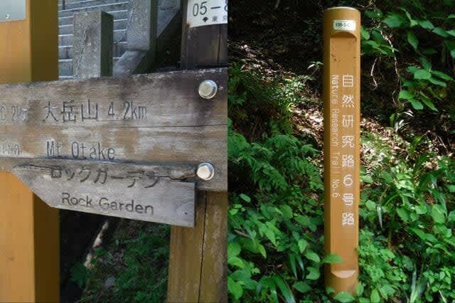 “Weekend Climbing” Showdown on where to go! Mt. Takaosan vs Mt. Mitake “3 healing spots” comparison report