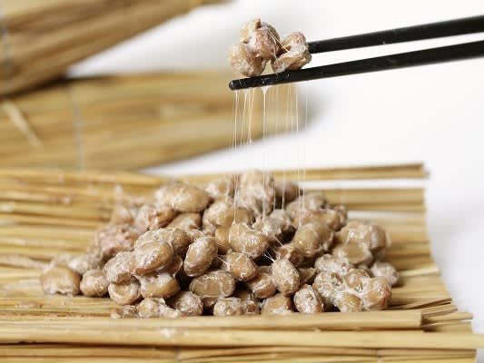 “Osakans hate natto” Is it a lie?really?We asked a local natto maker about the truth behind the rumors.