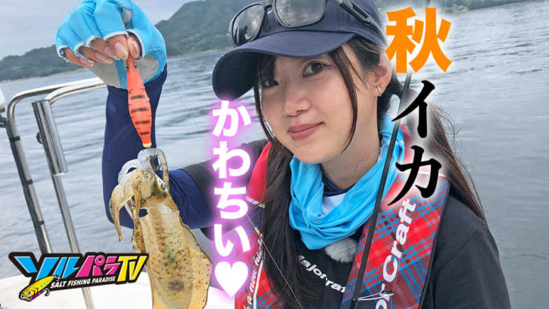 [Autumn Eging] Squid chases Egi!As soon as it started, Nozomi-chan hit the bigfin squid!