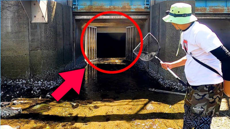 [Uja Uja] A large number of natural eels exist in the mysterious tunnel! The result of YouTuber's infiltration was too dangerous!