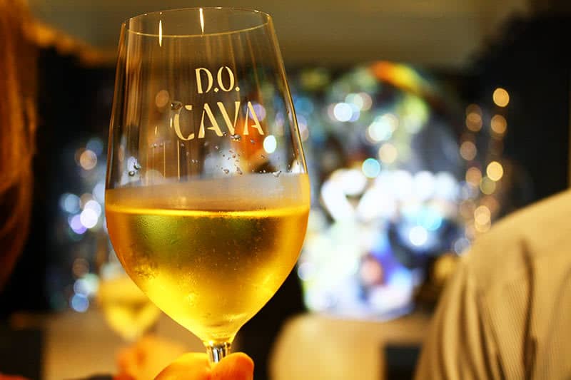 スペイン大使館 CAVA DISCOVERY MUSEUM でスペイン産スパークリングワイン …
