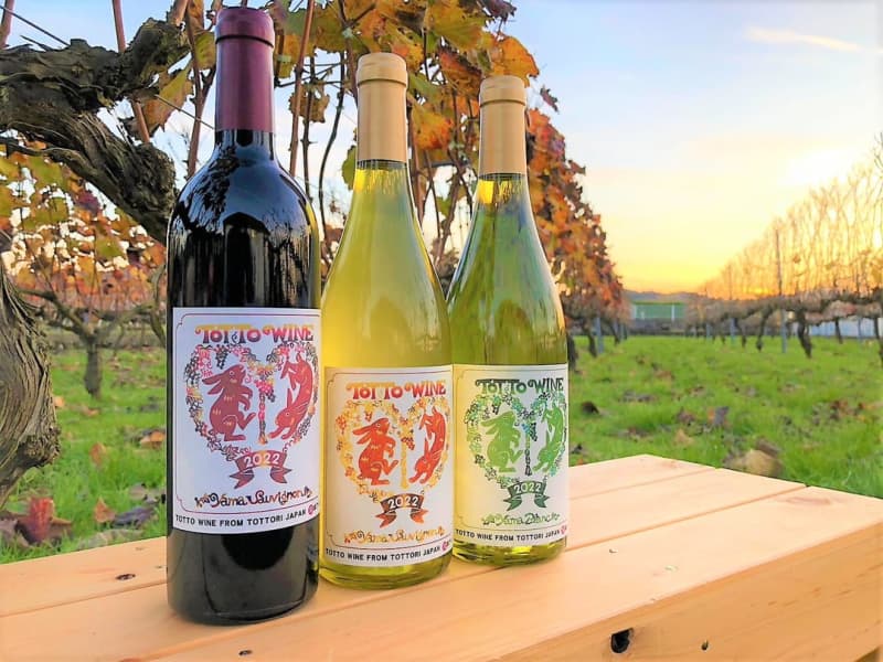 全国でも珍しい超低温発酵のフルーティーなワイン！試飲もできるワイナリー見学も｜鳥取市