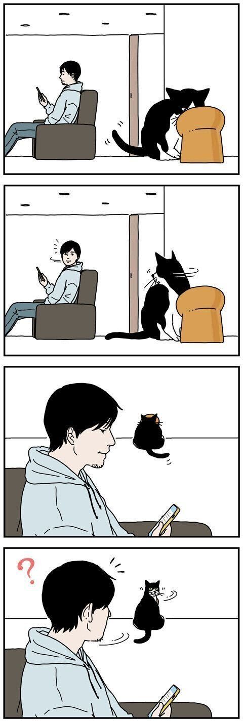 自分のことを見てくれているかチェックしてくる【男の猫道】ねこのきもちWEB MAGAZ…