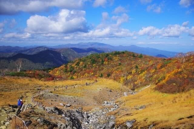 [If you are planning to climb this week, wait a minute! ] Latest autumn foliage status report at "Mt. Kurikomayama", which is the fastest changing color in Honshu