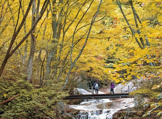 “Akiyama” Strongest Combo [Autumn Leaves and Valley Hike] One of the best autumn foliage spots in the Tohoku region!Japan's XNUMX Famous Mountains "Mt. Adachi Tara"