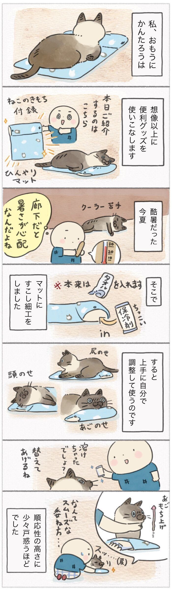 今年の酷暑で活躍した冷感グッズを見事に使いこなす賢い猫【連載】ねこ連れ草 293話め