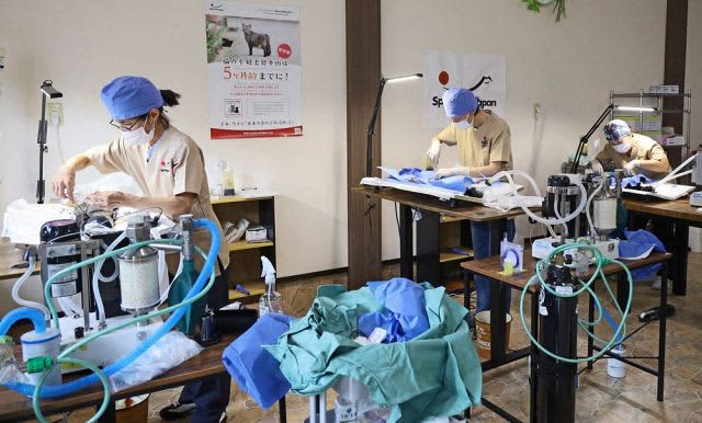 不幸な命減らそう　不妊去勢手術に特化した動物病院､和歌山･上富田町