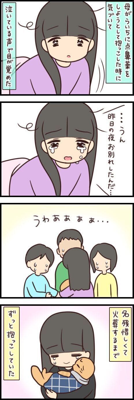 日差しの暖かい日だったのが、とても「らいち」っぽいなと感じたあの日【連載】もふもふスコ…