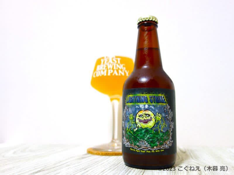 今年の小菅産の梅を使用したビールは新スタイルに挑戦！「Off Trail LIGHTNING …