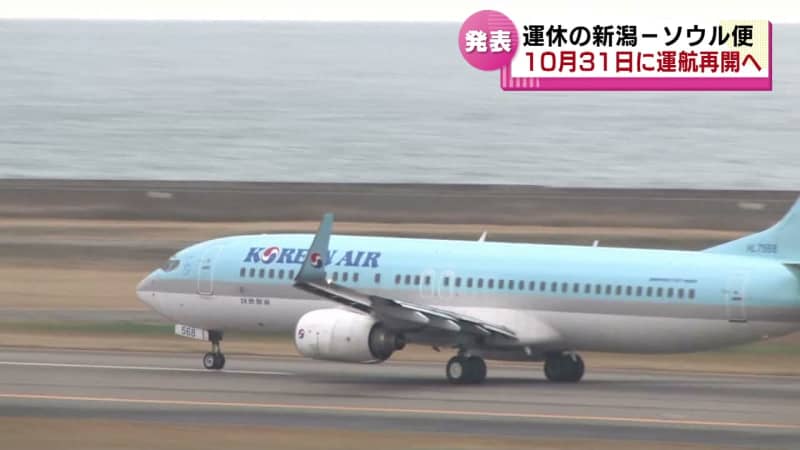 運休中の新潟－ソウル便が１０月３１日に運航再開へ　約３年８か月ぶり　週３便で …