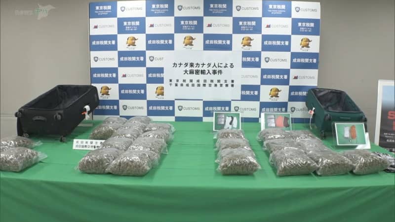 過去10年間で最大　大麻草約２４キロ密輸　カナダ国籍の男逮捕・送検　成田空港