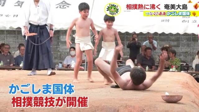 【かごしま国体】相撲が盛んな奄美大島で国体初開催　特別な思い込め準備進む　鹿児島