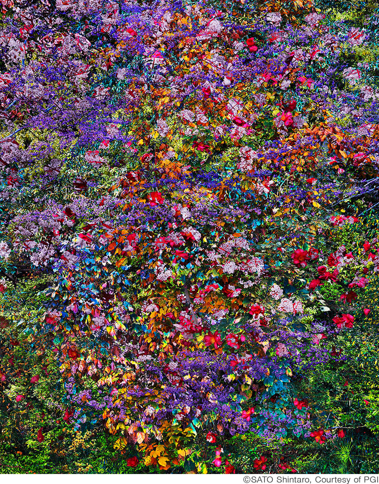 異なる時間と場所が重なり合うシリーズの新たな展開を見せる 佐藤信太郎写真展「Boundaries」