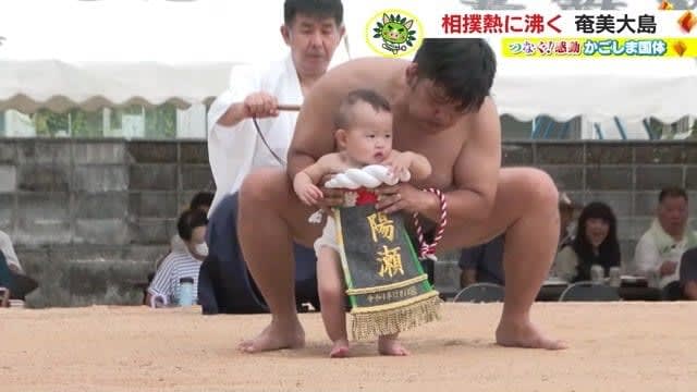 親子で相撲を取る風習も！相撲が盛んな奄美大島“かごしま国体”の競技会場に　準備に励む人たちの特…