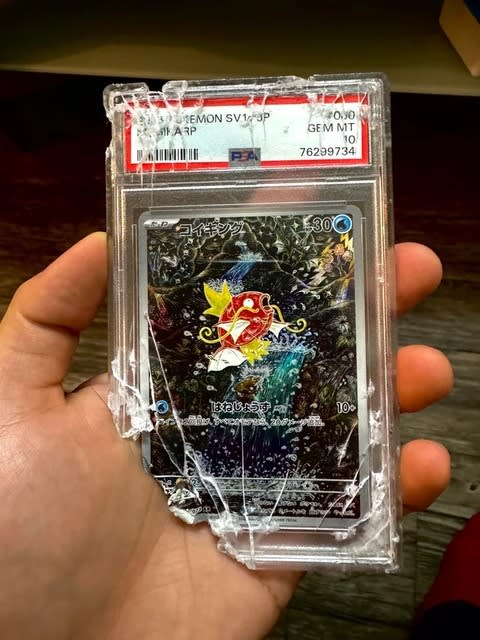 The protective case is also great!An overseas collector's lament after his rare Pokemon card was chewed up by his dog