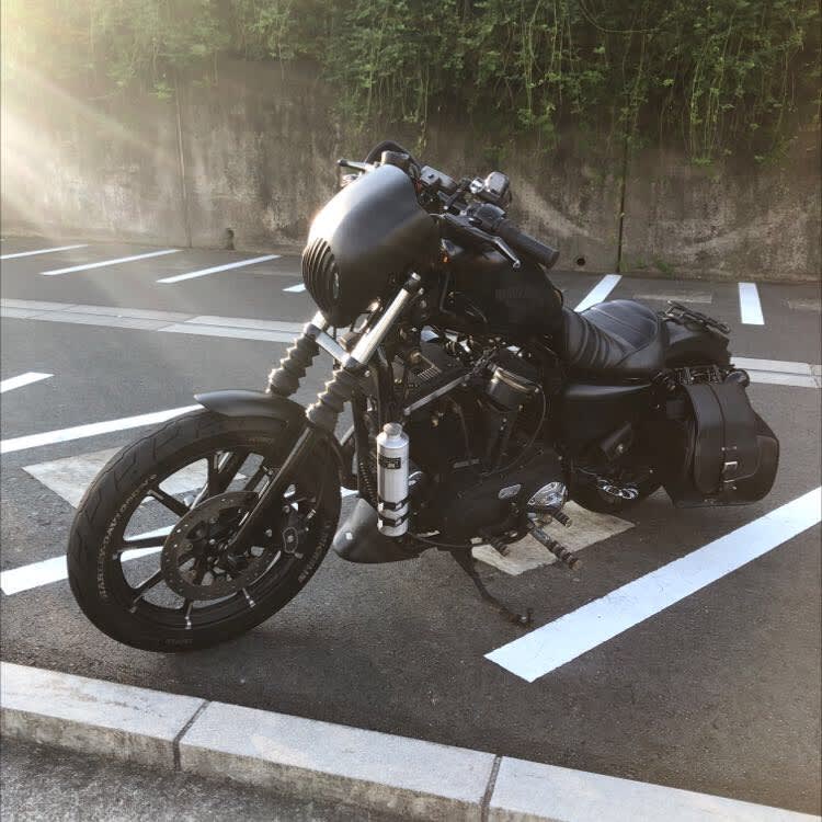 憧れ続けたクールなルックスが魅力　スポーツスター XL883N【みんなのバイク】