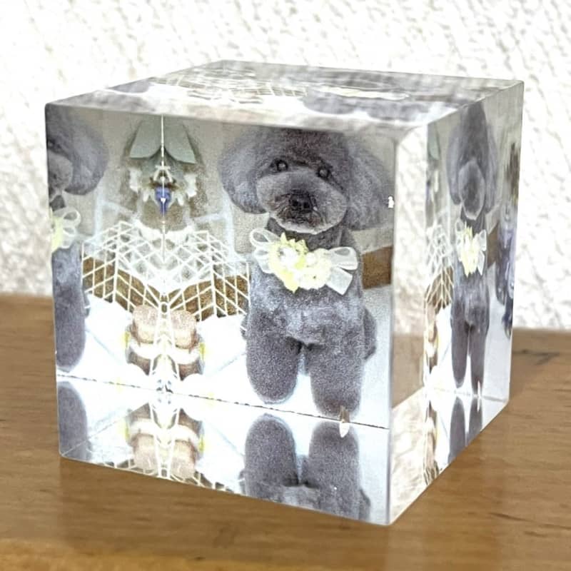 A Kobe manufacturer uses industrial nameplate manufacturing technology to engrave the memories of children and pets into cubes.