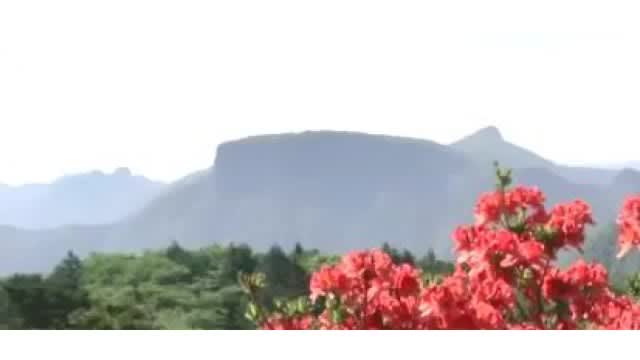 荒船山で滑落　神奈川県の79歳女性が血気胸等で重傷　登山道から約10メートル下に落ちる