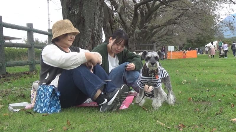 Fun holidays with your dog around Gunma Prefecture