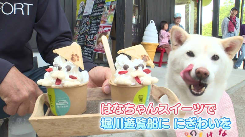 県外にもファンが… 松江城の“アイドル犬”「はなちゃん」がスイーツに　愛らしさ全開で観光に一役…