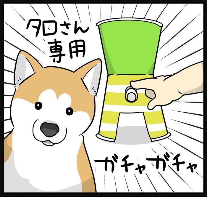 娘の手作りガチャおもちゃ。仕組みの抜け穴に気づいてしまった柴犬タロさん|連載「モフモフ…