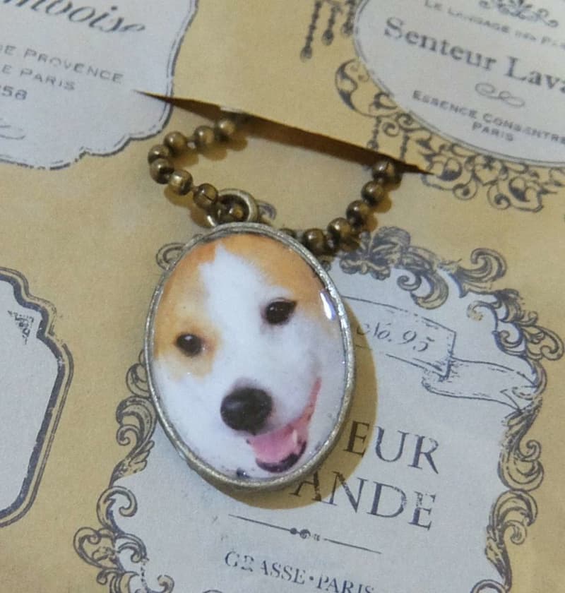 “The power of the internet is amazing!” “The miracle of SNS” Posts looking for lost “pet pendant” go viral → 4th...