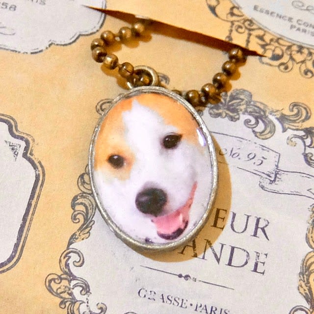 Lost my late dog's pendant → Information spread on SNS → Miraculous discovery!Owner: “I was moved by everyone’s kindness”