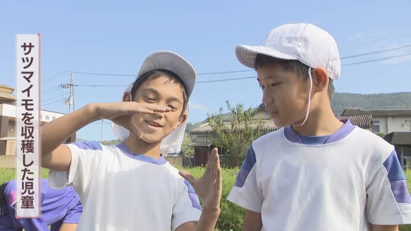 小学生がサツマイモを収穫　顔より大きなサイズも　香川・三豊市